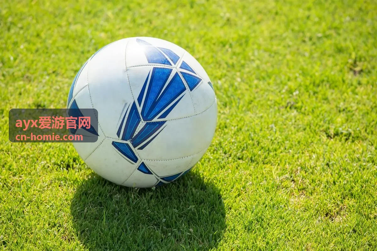 ayx爱游官网行程安排示例封面
