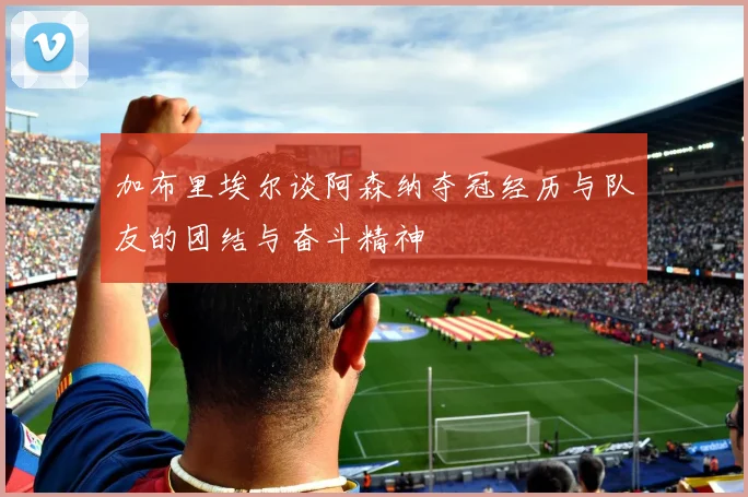 加布里埃尔谈阿森纳夺冠经历与队友的团结与奋斗精神
